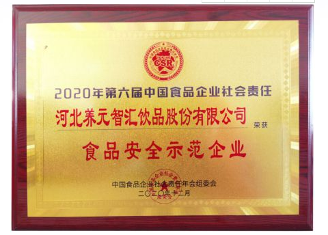 逐梦国际-专一品牌营销影视制作文化公司