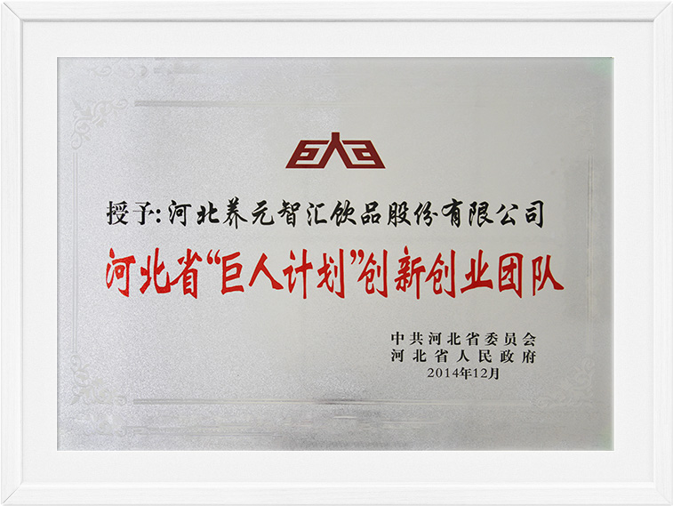 逐梦国际-专一品牌营销影视制作文化公司