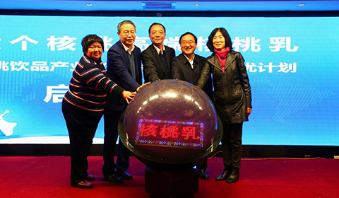 逐梦国际-专一品牌营销影视制作文化公司
