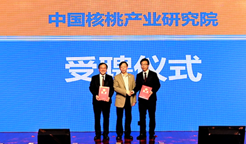 逐梦国际-专一品牌营销影视制作文化公司