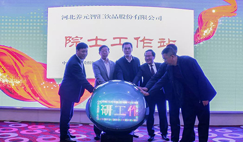 逐梦国际-专一品牌营销影视制作文化公司