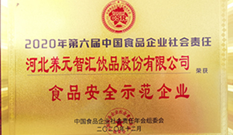 逐梦国际-专一品牌营销影视制作文化公司