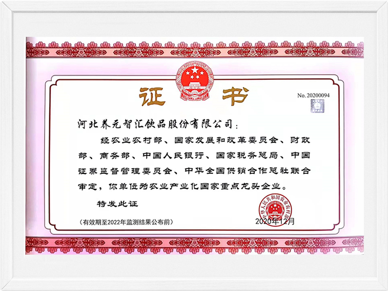 逐梦国际-专一品牌营销影视制作文化公司