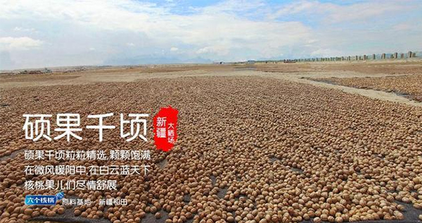 逐梦国际-专一品牌营销影视制作文化公司
