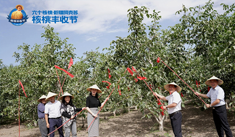 逐梦国际-专一品牌营销影视制作文化公司