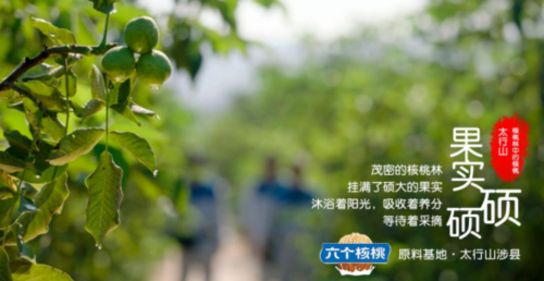逐梦国际-专一品牌营销影视制作文化公司