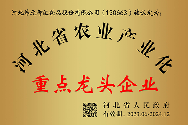逐梦国际-专一品牌营销影视制作文化公司