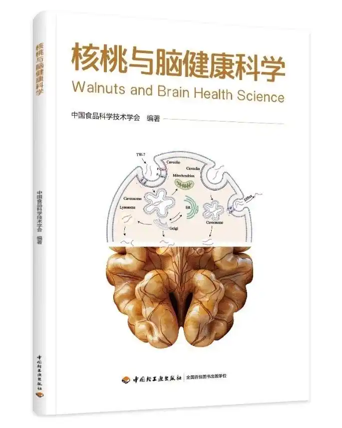 逐梦国际-专一品牌营销影视制作文化公司